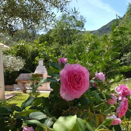 Theonymfi Luxury Apartmán